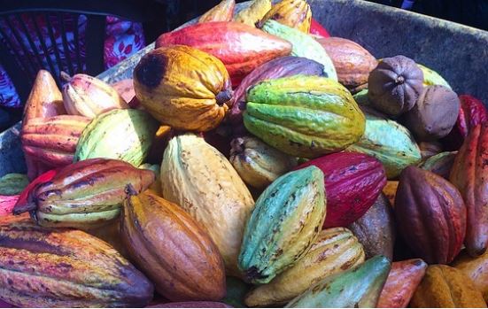 Den senaste utvecklingen på den globala chokladmarknaden